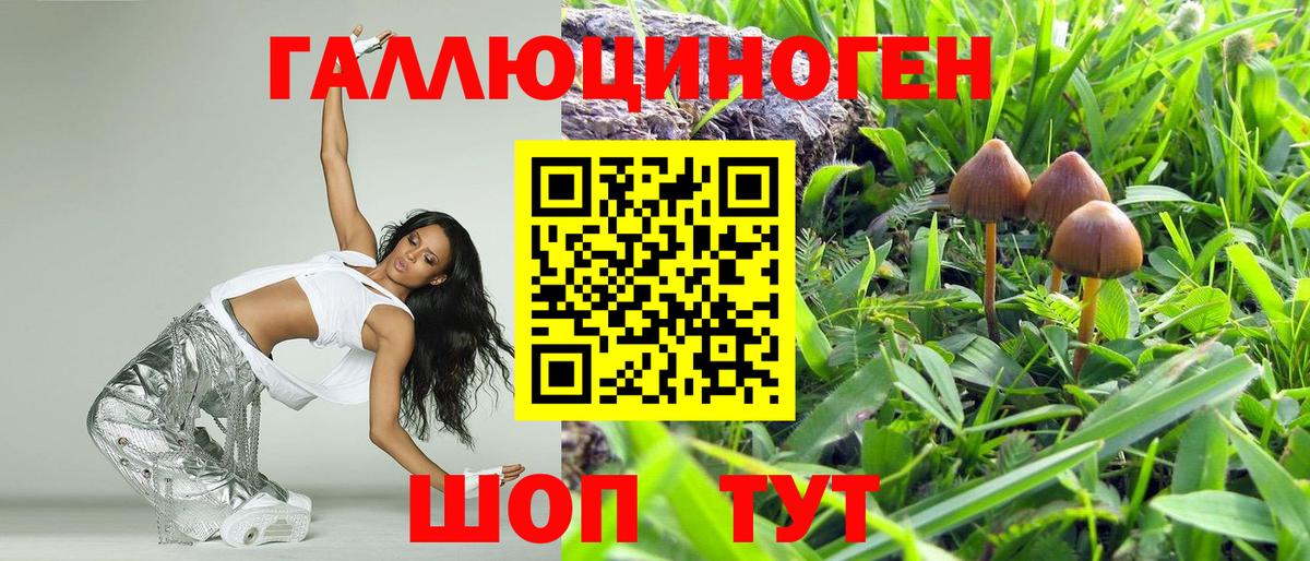 Псилоцибиновые грибы Psilocybe Кирово-Чепецк