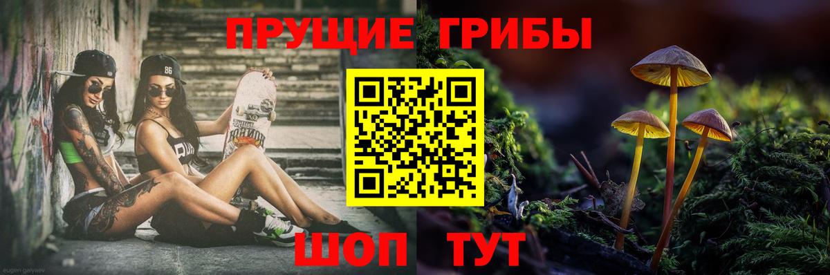 Галлюциногенные грибы Psilocybe  дарнет шоп  Псилоцибиновые грибы мухоморы  Кирово-Чепецк  Вход с VPN 